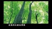 【歪唱搞笑歌曲】秀才来了歪唱之《大笑江湖》娱乐完整版视频在线观看爱奇艺