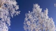 雪花带来冬天的梦2生活完整版视频在线观看爱奇艺