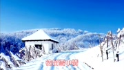 一首《雪中情》,雪山飞狐的主题曲,满满的回忆音乐背景音乐视频音乐爱奇艺