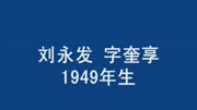 书法家刘永发 中国瓦房店人知识名师课堂爱奇艺