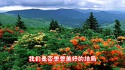 逛商场听到的一首歌,瞬间就迷住了,与朋友们分享!音乐背景音乐视频音乐爱奇艺