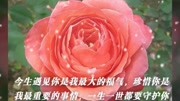 早上好,清晨早安!一首醉人的歌,祝你开心快乐,好心情!音乐背景音乐视频音乐爱奇艺