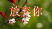 你是我永远的牵挂,一曲《无奈的放弃》是我的心里话!音乐背景音乐视频音乐爱奇艺