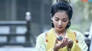 张钧甯《军师联盟2之虎啸龙吟》续写三国“女诸葛”电视剧全集完整版视频在线观看爱奇艺