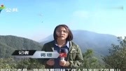 漫山烈焰!广东珠海凤凰山大火燃烧猛烈,400余人紧急扑救并控制资讯完整版视频在线观看爱奇艺