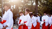 日本女孩子都想当神圣的神社巫女,但有一点却是常人难以忍受的!生活完整版视频在线观看爱奇艺