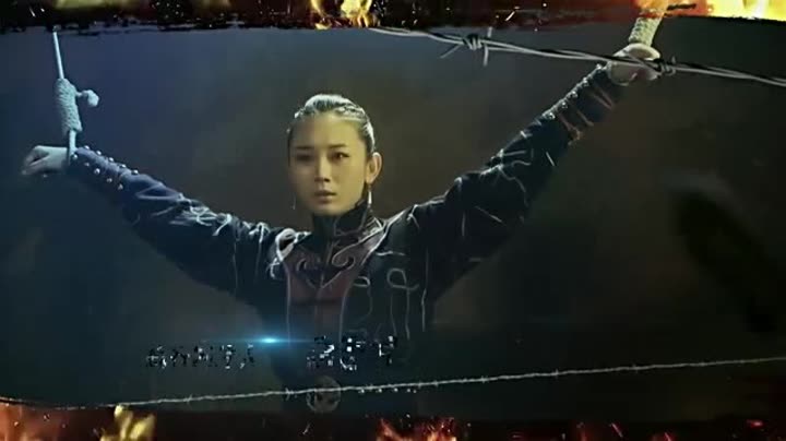                      黑狐之风影