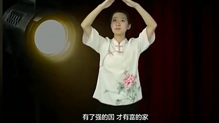                        国家手语