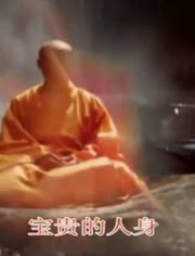 无悔菩提路简谱_无悔菩提路图片