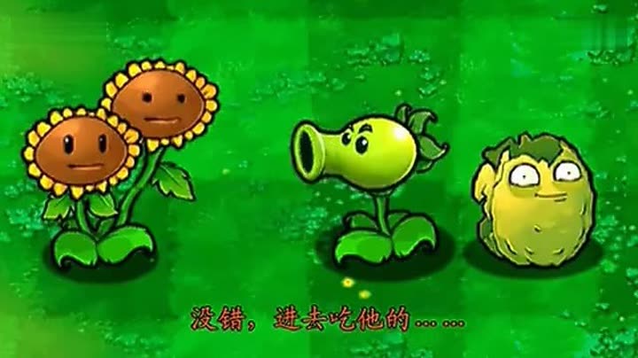                植物大战僵尸动画