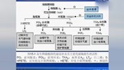 药理学教学视频第23课西安交通大学李增利标清原创完整版视频在线观看爱奇艺