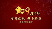 丰彩2019迎春晚会资讯搜索最新资讯爱奇艺