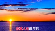 经典歌曲《寂寞人生谁与共》真好听!分享给大家音乐背景音乐视频音乐爱奇艺