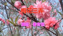 梅花三弄姜育恒简谱_我急需这曲笛子 梅花三弄 的简谱,万谢(3)