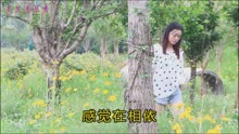 无法忘记你的歌曲的曲谱_无法忘记你杨美华图片(3)