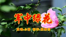 军中绿花的曲谱_军中绿花二胡曲谱(2)