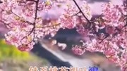 客家山歌《十里桃花》,唯美震撼!寒阳山歌音乐背景音乐视频音乐爱奇艺