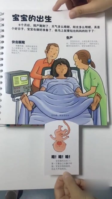 妈妈我从哪里来这本超好玩的人体百科给你答案书名是我们的身体