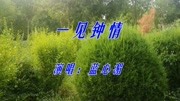 蓝心湄一首《一见钟情》经典旋律,歌声让人久久难以忘记!音乐背景音乐视频音乐爱奇艺