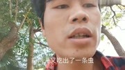 云南农村打工仔小老弟自媒体财经完整版视频在线观看爱奇艺