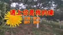 缘分相遇词曲谱_缘分相遇图片(3)