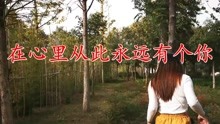 在心里从此永远有个你曲谱视频_在心里从此有个你图片