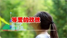 等爱曲谱_等爱的玫瑰图片(5)