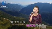 闽南歌曲 思念你的心肝你敢知音乐背景音乐视频音乐爱奇艺