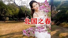 邓丽君北国之春简谱_北国之春