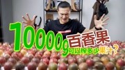 尝试把10000g百香果榨干后,到底能有多少果汁?生活完整版视频在线观看爱奇艺