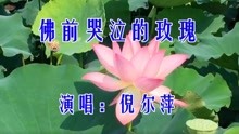 佛前哭泣的玫瑰简谱_玫瑰少年数字简谱