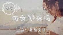 伤了我你疼吗曲谱_伤了我你会疼吗原唱(3)