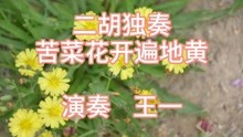 二胡独奏苦采花曲谱_渭水秋歌二胡独奏曲谱