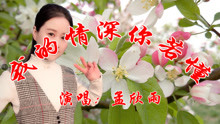 我的情深你若懂的简谱_我的情深你若懂配图(3)