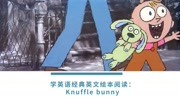 磨耳朵经典英文绘本阅读:Knuffle bunny知识名师课堂爱奇艺