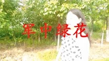 歌曲军中绿花简谱_军中绿花简谱(3)