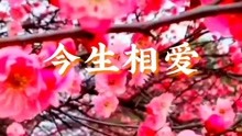 一首《今生相爱》真好听-音乐-背景音乐视频音乐-爱