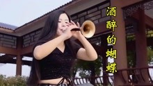 唢呐版酒醉的蝴蝶曲谱_陶笛版曲谱酒醉的蝴蝶(3)