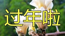 恭喜你发财简谱_恭喜你发财乐谱数字版(4)