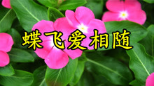 pv_14529085000_d_601_220_124.jpg