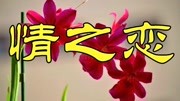 感谢上苍让我们相遇,我们一起高歌一曲《情之恋》音乐背景音乐视频音乐爱奇艺