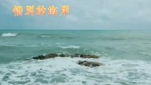 惜别海岸曲谱简谱_惜别的海岸简谱