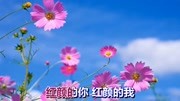 一首好听的情歌《红颜你我》音乐背景音乐视频音乐爱奇艺