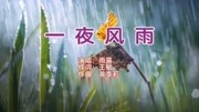 辗转红尘难解天意,相聚或别离《一夜风雨》情歌音乐背景音乐视频音乐爱奇艺