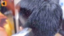 pv_16005991300_d_601_220_124.jpg