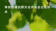 《晴天》周杰伦,海上月是天上月,眼前人是心上人音乐背景音乐视频音乐爱奇艺