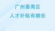 广州番禺区人才补贴有哪些资讯完整版视频在线观看爱奇艺