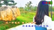 天赐良缘  陈美惠vs小山音乐背景音乐视频音乐爱奇艺