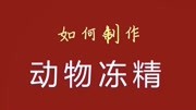 狗冻精制作永久保存视频健康完整版视频在线观看爱奇艺