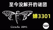 寻找高智商人才 蝉3301 一直没有破解的互联网谜团生活完整版视频在线观看爱奇艺